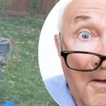 Ang usa ka katingad-an nga pagdiskobre duol sa usa ka kahoy nga nahabilin sa silingan naglibog: Unsa nga sekreto ang iyang gitago? Ang usa ka katingad-an nga pagdiskobre duol sa usa ka