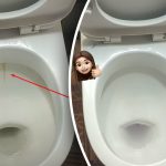 Ang usa ka produkto magpaputi sa kasilyas sa usa ka